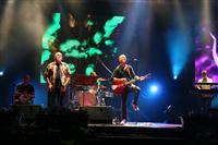 IMG_97990 (576)